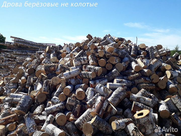 Дрова (сосна, береза), горбыль