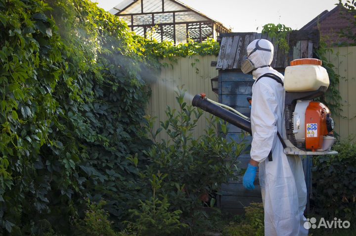Уничтожение комаров, обработка от комаров