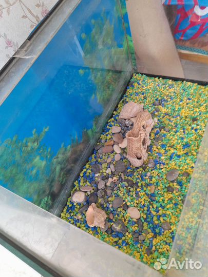 Аквариум 100 литров