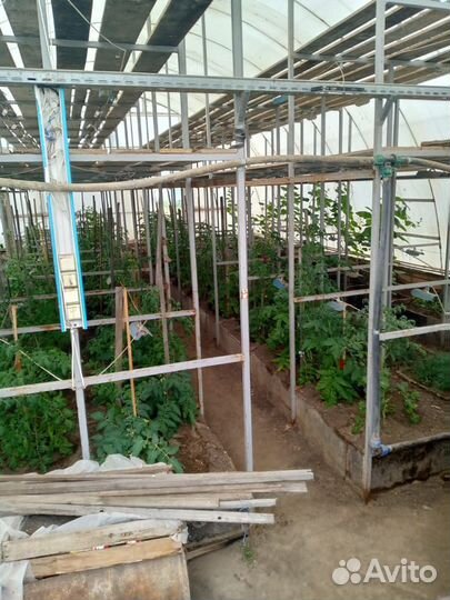 Аренда теплиц и животноводческой фермы