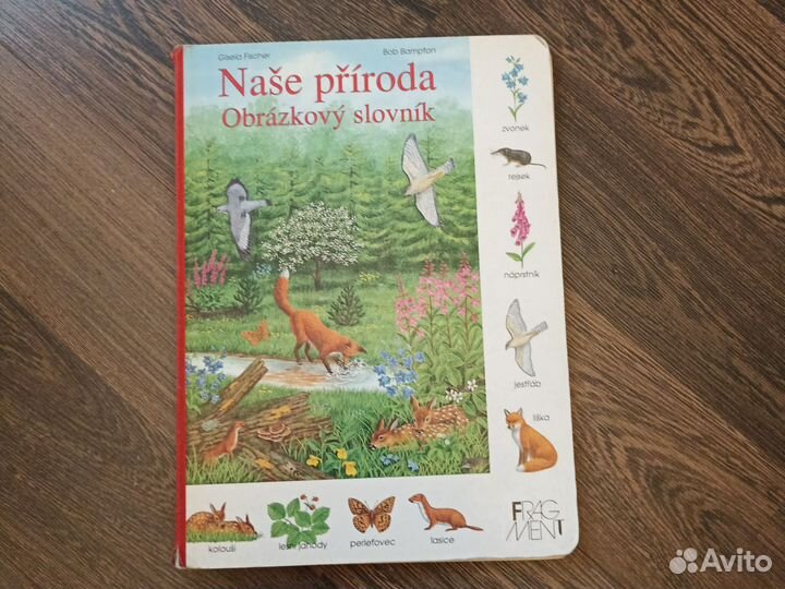 Книга с картинками на чешском языке