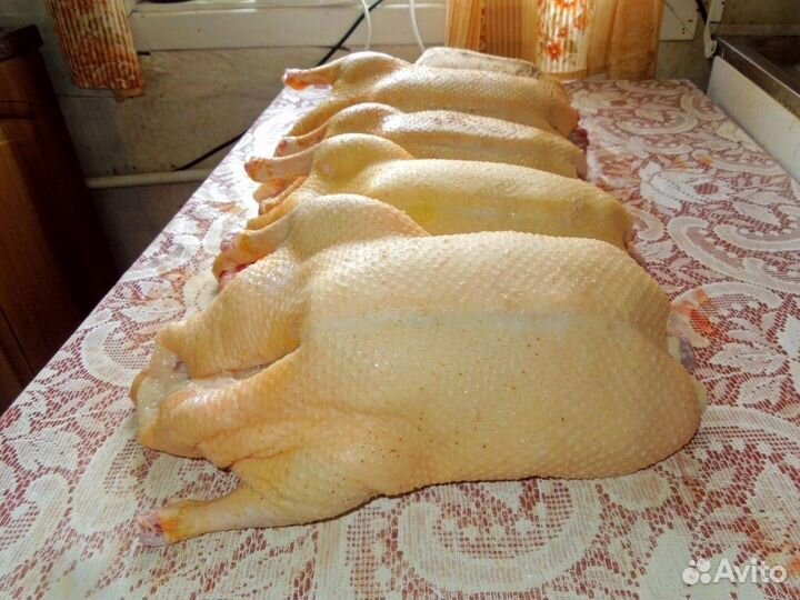 Мясо утки,гуся, кур.-домашние (деревенское )