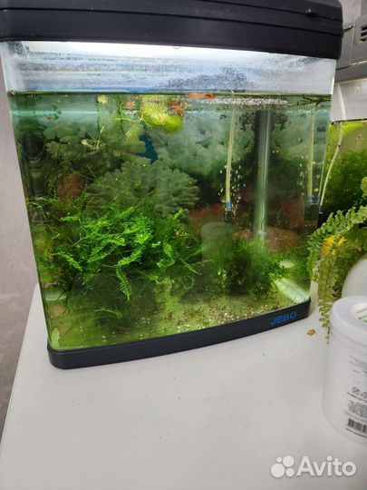 Аквариум