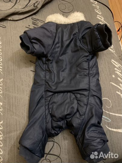 Одежда для собак мелких пород