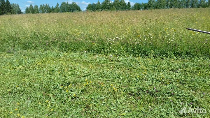 Сено Рулоны