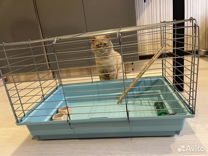 Клетка для грызунов большая