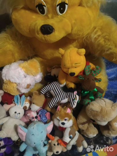Мягкие игрушки цена за всё