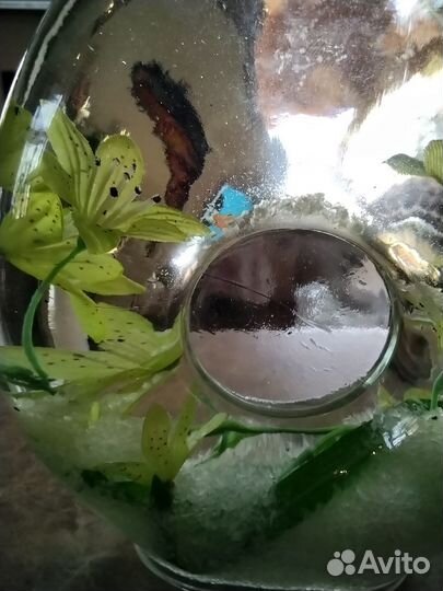 Декоративные бутылки