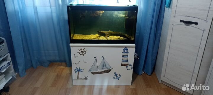 Аквариум с рыбками