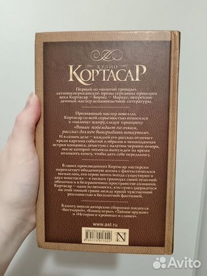 Книга врата неба Хулио Кортасар