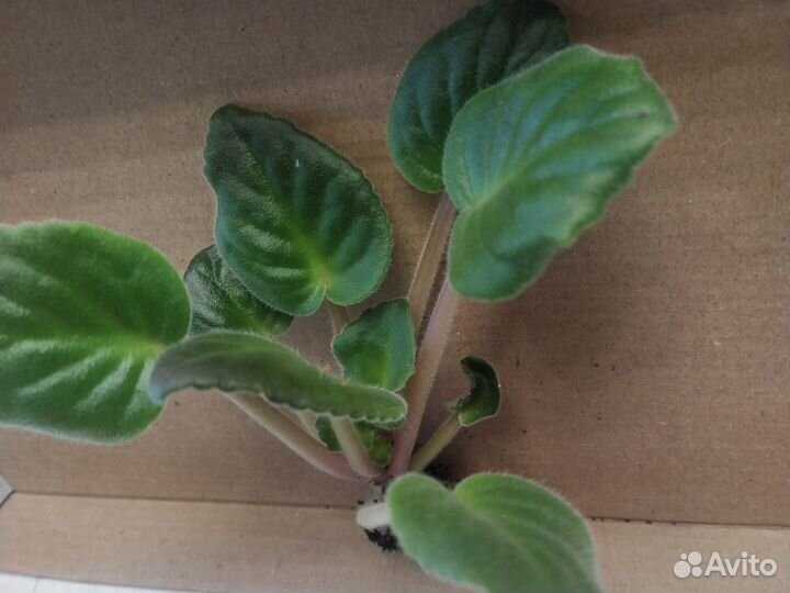 Форма для льда ананас