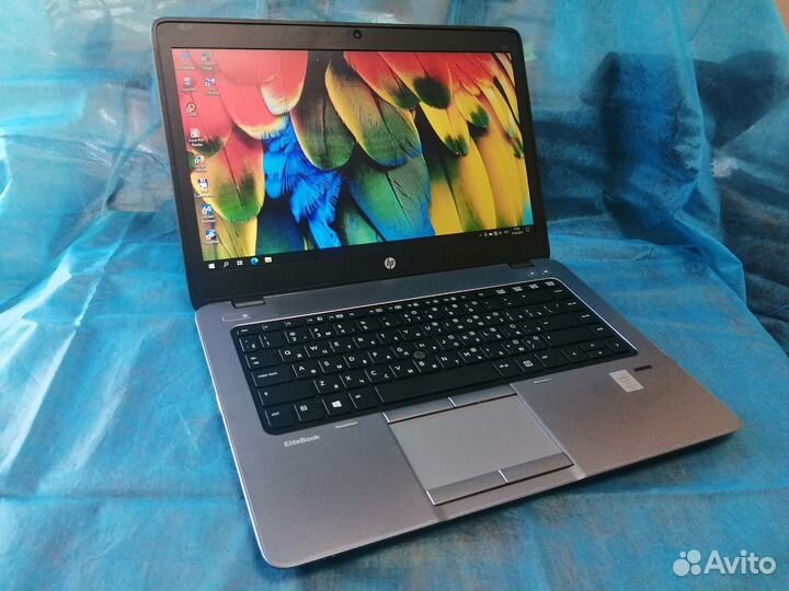HP Elitebook 840 G1/Core i5-4300U/8Gb/SSD240Gb