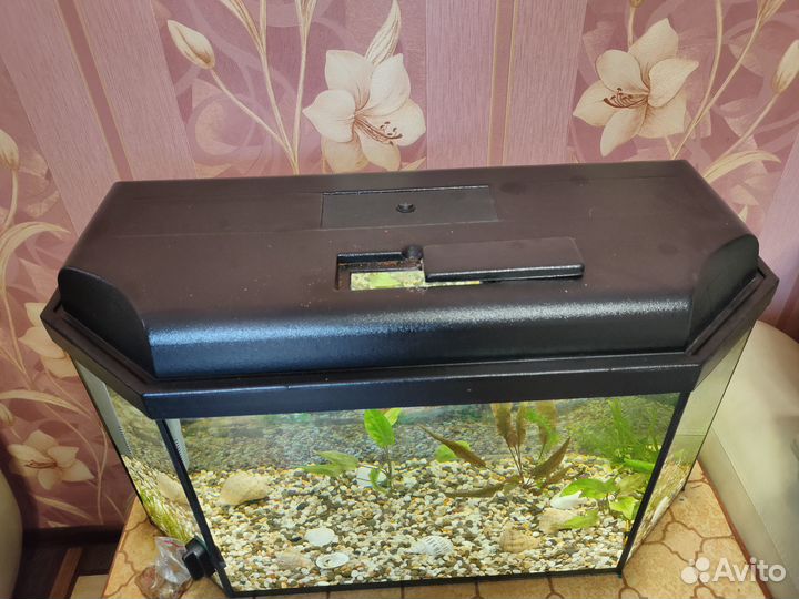 Продам аквариум