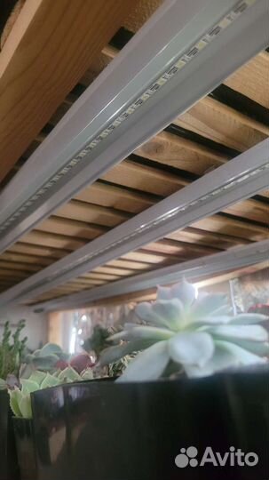 Стеллаж для растений