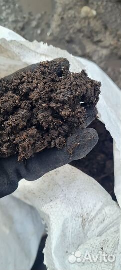 Навоз с доставкой
