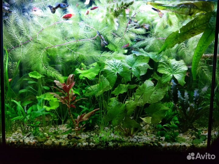 Аквариумная лампа светодиодная светильник