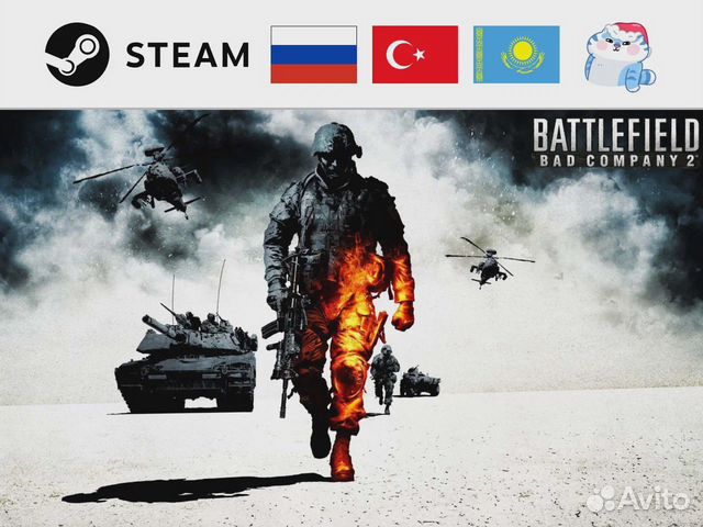 Battlefield: Bad Company 2 (Steam)