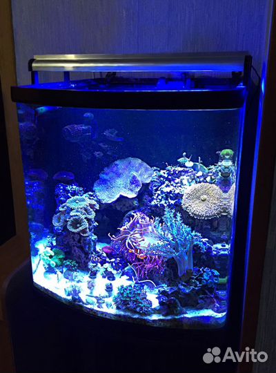 LED светильники для рифовых аквариумов