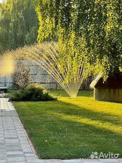 Рулонные газоны