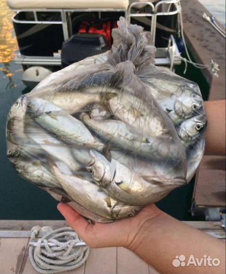 Рыбалка с пикником 3 часа в море на яхте