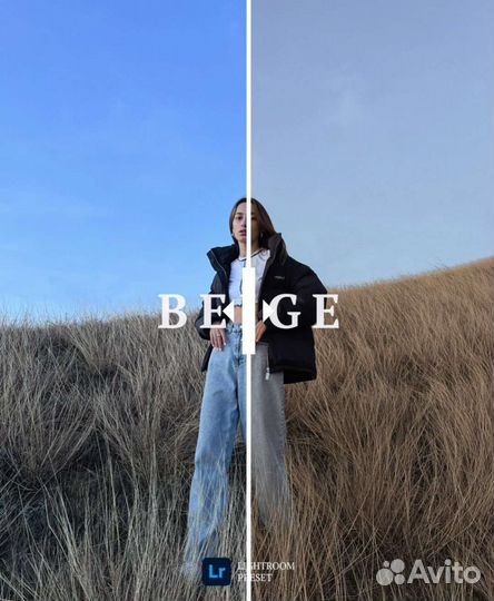 Пресеты Дина Барбанова winter pack 2022