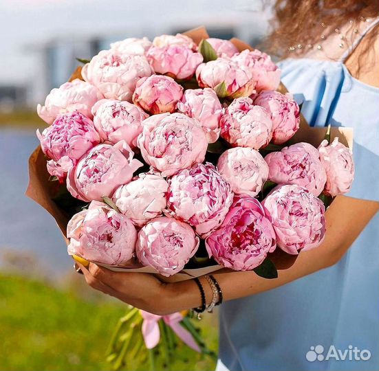 Пионы Букет пионов