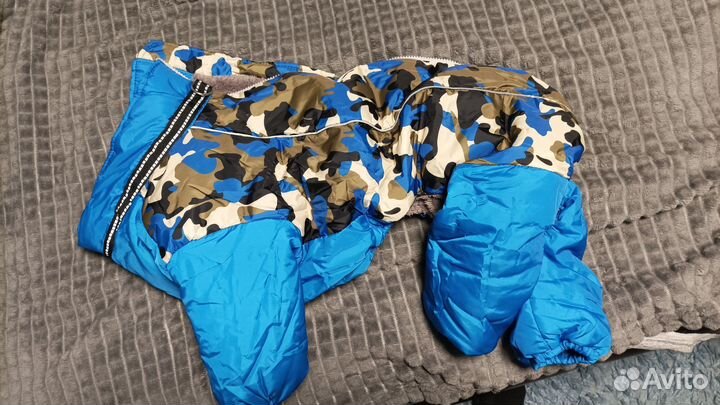 Одежда для средних собак