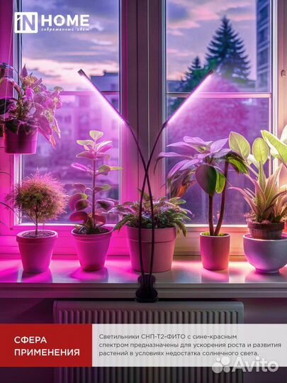 Фитосветильник фитолампа настольный на прищепке 2