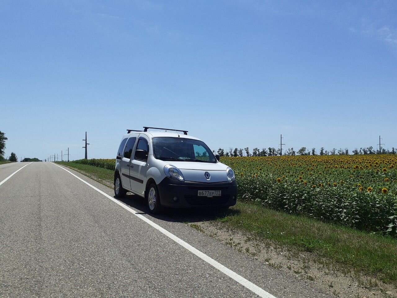 Renault Kangoo: фото владельца
