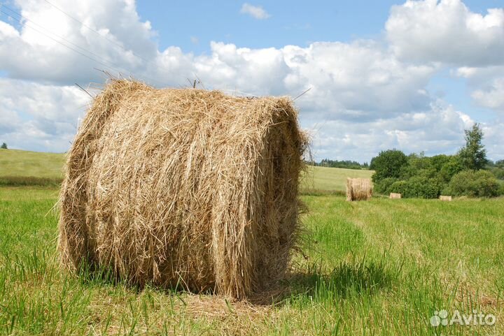 Сено в рулонах