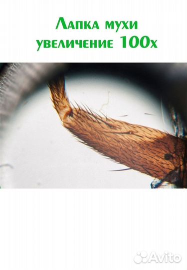 Микроскоп Микромед