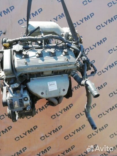 Патрубок радиатора нижний Toyota Corona Premio