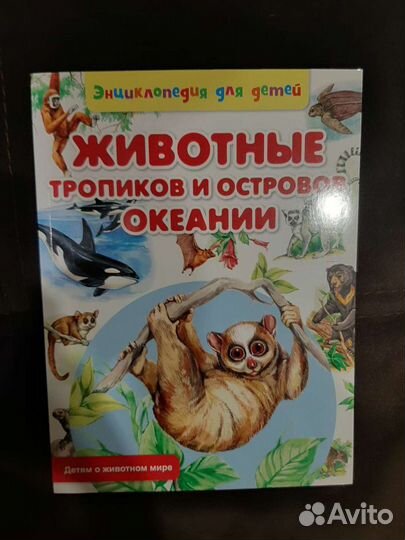 Набор книг