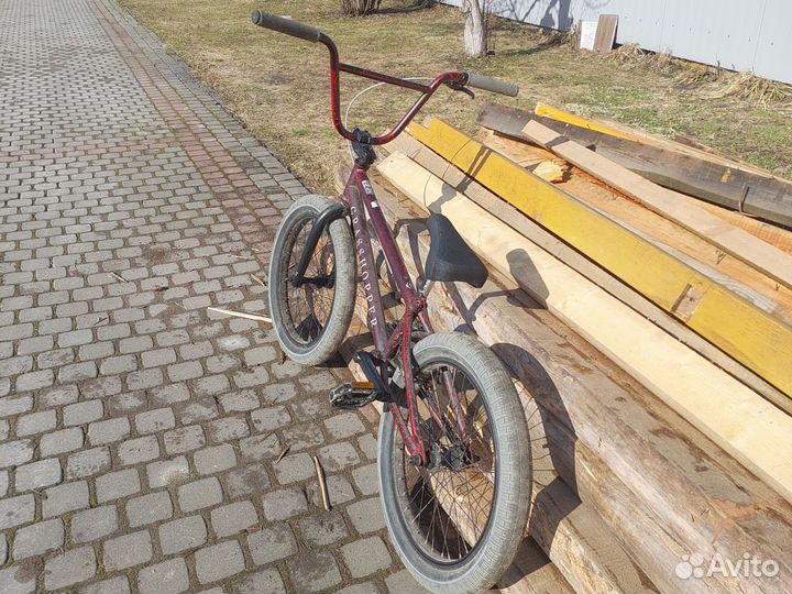 Bmx tech team grasshopper