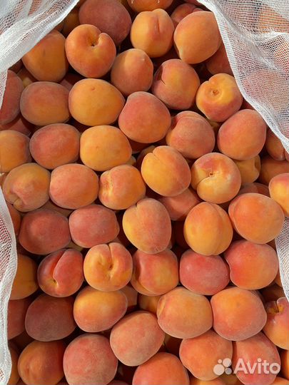 Абрикосb Армения