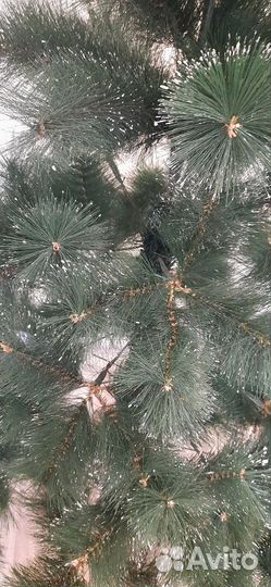 Елка искусственная заснеженнаяс сосна, 1.8