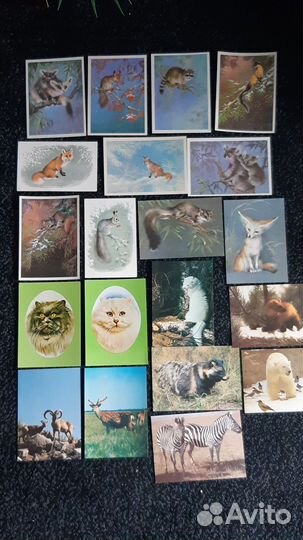 Открытки советские Животные