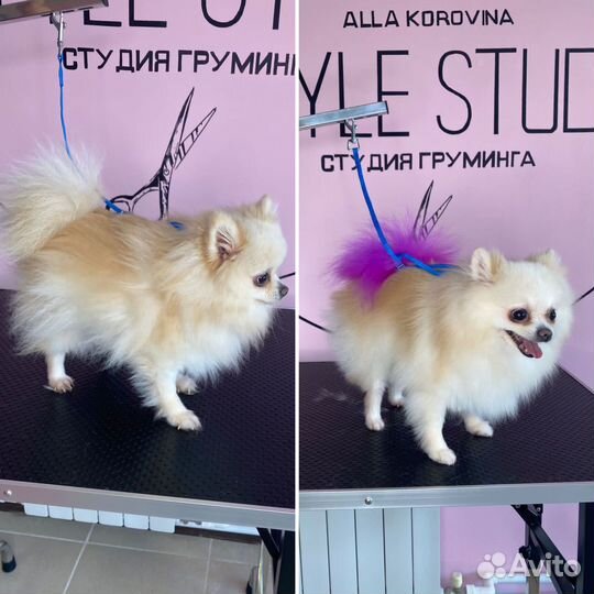 Грумер стрижка собак и кошек