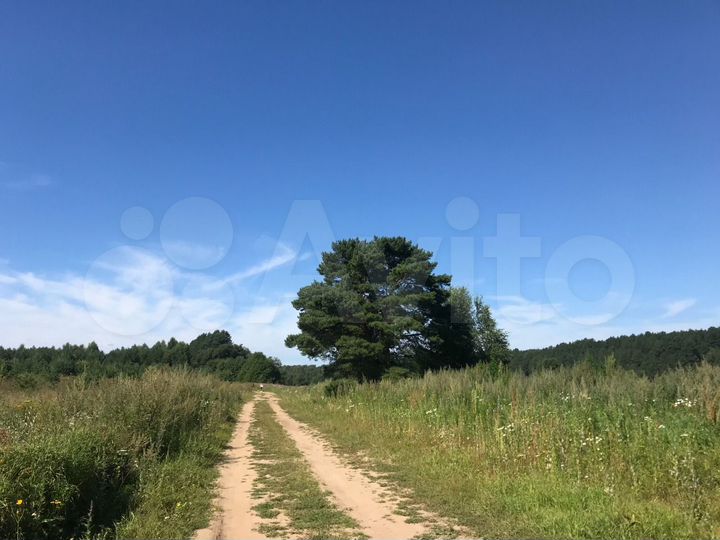 Участок 31 сот. (ИЖС)