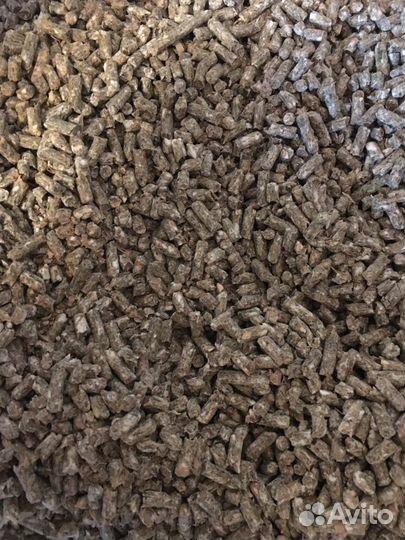 Корм для декоративных грызунов