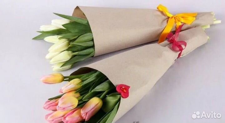 Тюльпаны для букетов