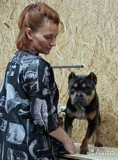 Груминг Юкки Осиновая Роща