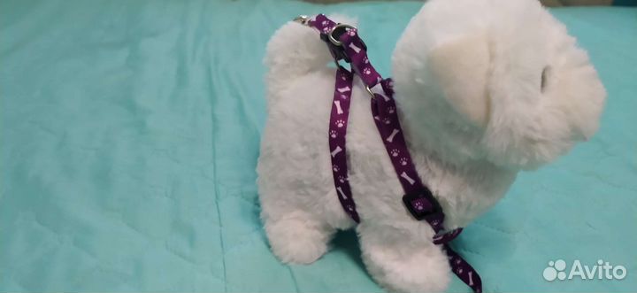 Шлейка/поводок для маленькой собаки/кошки