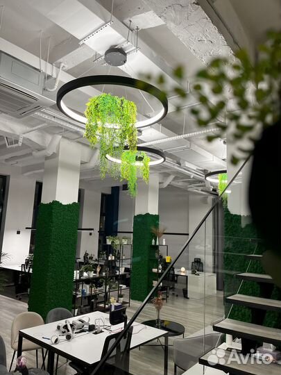 Вертикальное озеленение мхом