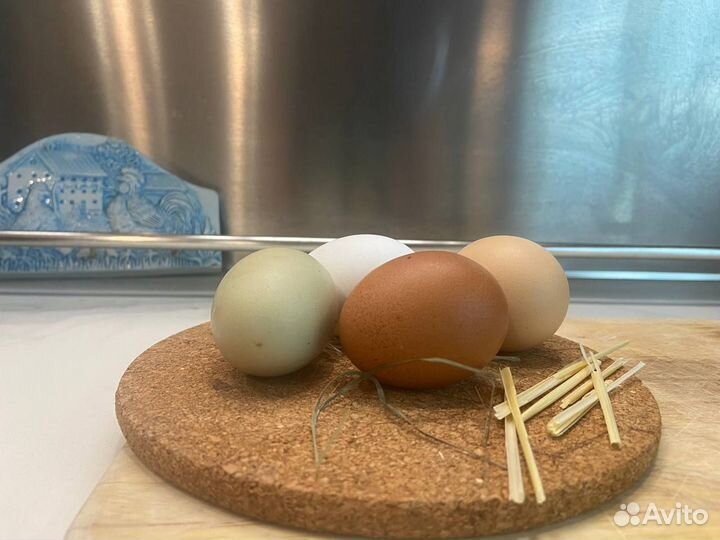 Куриное деревенское яйцо ECO от счастливой курочки