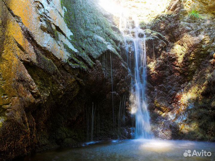 Лимассол Топ-Экскурсия Из Лимассола — в горный заповедник Троодос