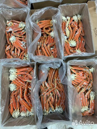 Краб Стригун