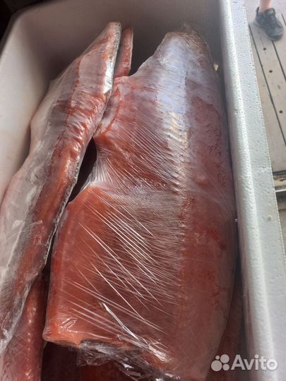 Стейки семги