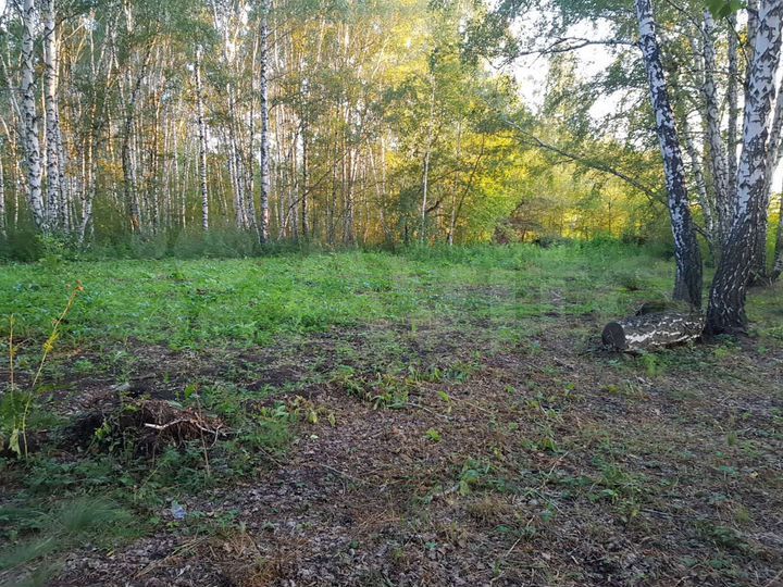 Участок 10 сот. (СНТ, ДНП)