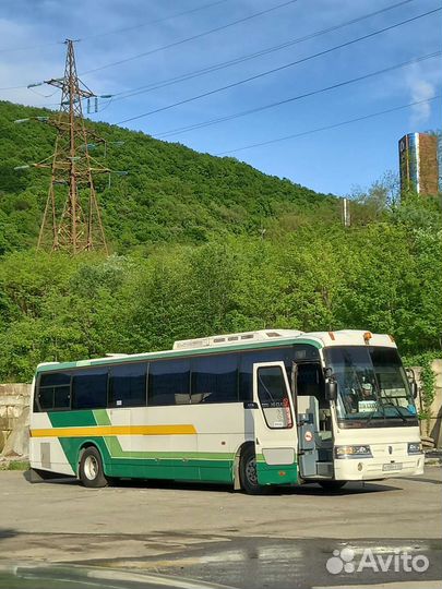 Пассажирские перевозки автобус